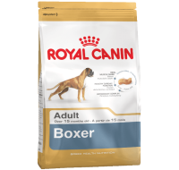 Boxer Royal Canin